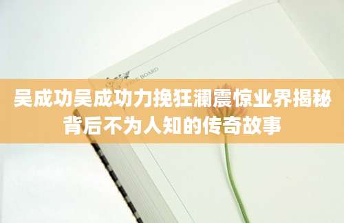 吴成功吴成功力挽狂澜震惊业界揭秘背后不为人知的传奇故事
