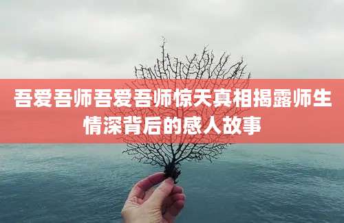 吾爱吾师吾爱吾师惊天真相揭露师生情深背后的感人故事