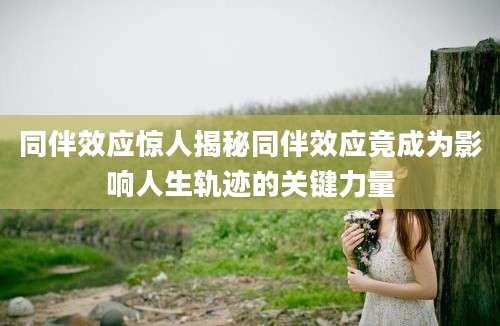 同伴效应惊人揭秘同伴效应竟成为影响人生轨迹的关键力量