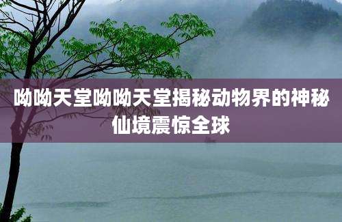 呦呦天堂呦呦天堂揭秘动物界的神秘仙境震惊全球