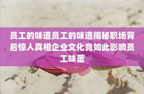 员工的味道员工的味道揭秘职场背后惊人真相企业文化竟如此影响员工味蕾