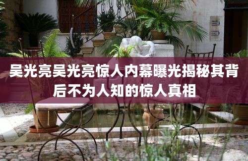吴光亮吴光亮惊人内幕曝光揭秘其背后不为人知的惊人真相