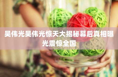 吴伟光吴伟光惊天大揭秘幕后真相曝光震惊全国