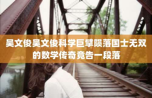 吴文俊吴文俊科学巨擘陨落国士无双的数学传奇竟告一段落
