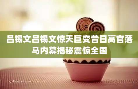 吕锡文吕锡文惊天巨变昔日高官落马内幕揭秘震惊全国