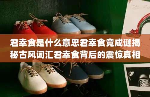 君幸食是什么意思君幸食竟成谜揭秘古风词汇君幸食背后的震惊真相