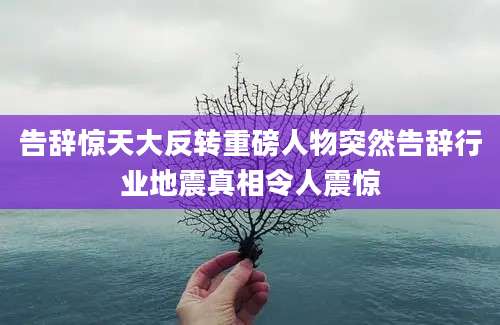 告辞惊天大反转重磅人物突然告辞行业地震真相令人震惊