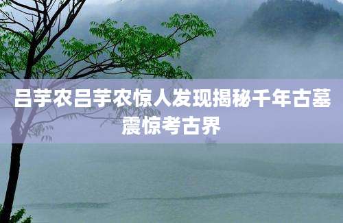吕芋农吕芋农惊人发现揭秘千年古墓震惊考古界