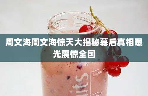 周文海周文海惊天大揭秘幕后真相曝光震惊全国