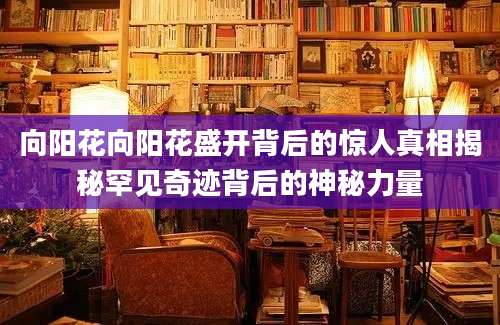 向阳花向阳花盛开背后的惊人真相揭秘罕见奇迹背后的神秘力量