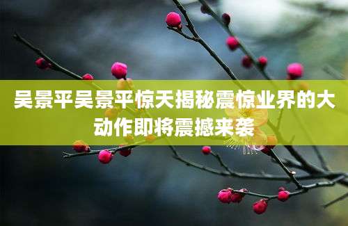 吴景平吴景平惊天揭秘震惊业界的大动作即将震撼来袭