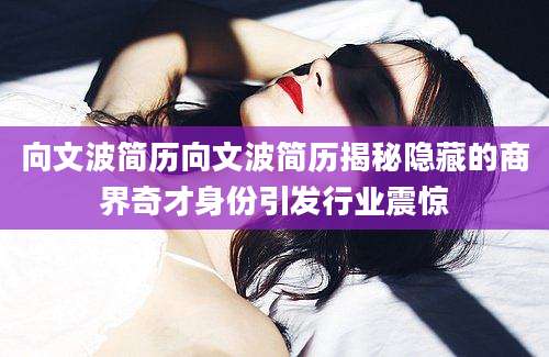 向文波简历向文波简历揭秘隐藏的商界奇才身份引发行业震惊