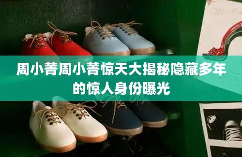 周小菁周小菁惊天大揭秘隐藏多年的惊人身份曝光