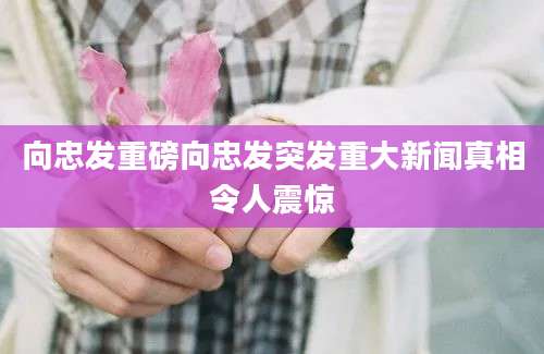向忠发重磅向忠发突发重大新闻真相令人震惊