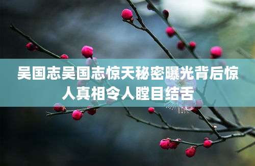 吴国志吴国志惊天秘密曝光背后惊人真相令人瞠目结舌