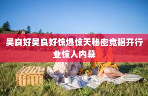 吴良好吴良好惊爆惊天秘密竟揭开行业惊人内幕