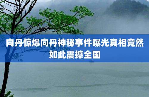向丹惊爆向丹神秘事件曝光真相竟然如此震撼全国