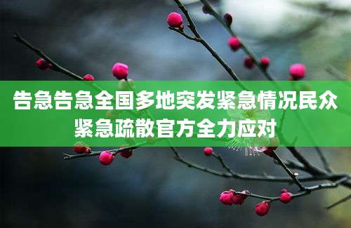 告急告急全国多地突发紧急情况民众紧急疏散官方全力应对