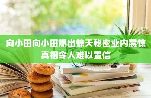 向小田向小田爆出惊天秘密业内震惊真相令人难以置信