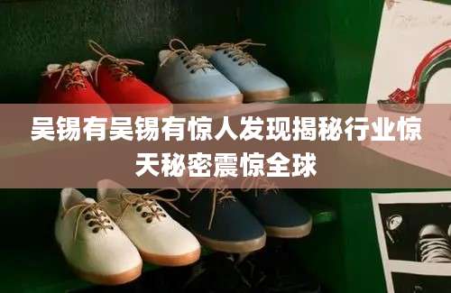 吴锡有吴锡有惊人发现揭秘行业惊天秘密震惊全球