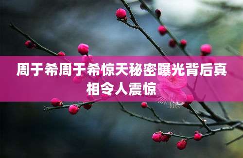 周于希周于希惊天秘密曝光背后真相令人震惊