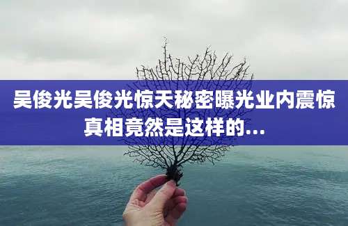 吴俊光吴俊光惊天秘密曝光业内震惊真相竟然是这样的...