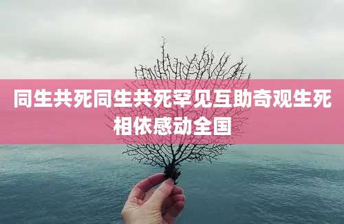 同生共死同生共死罕见互助奇观生死相依感动全国