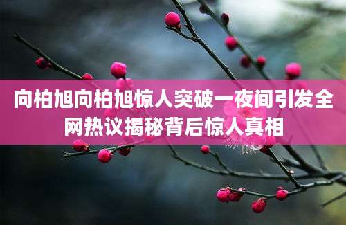 向柏旭向柏旭惊人突破一夜间引发全网热议揭秘背后惊人真相