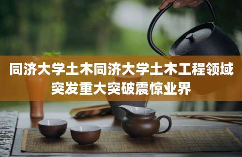 同济大学土木同济大学土木工程领域突发重大突破震惊业界