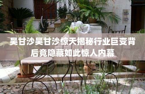 吴甘沙吴甘沙惊天揭秘行业巨变背后竟隐藏如此惊人内幕
