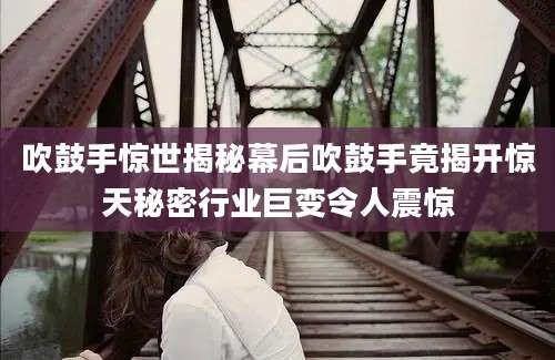 吹鼓手惊世揭秘幕后吹鼓手竟揭开惊天秘密行业巨变令人震惊