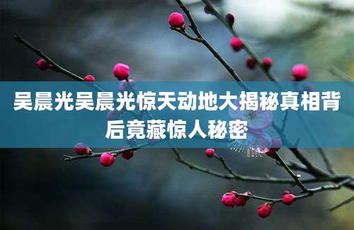 吴晨光吴晨光惊天动地大揭秘真相背后竟藏惊人秘密