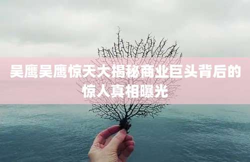 吴鹰吴鹰惊天大揭秘商业巨头背后的惊人真相曝光