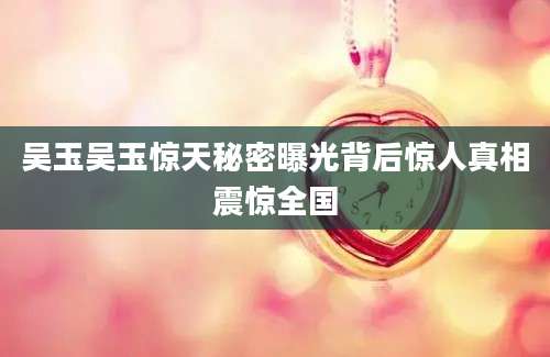 吴玉吴玉惊天秘密曝光背后惊人真相震惊全国