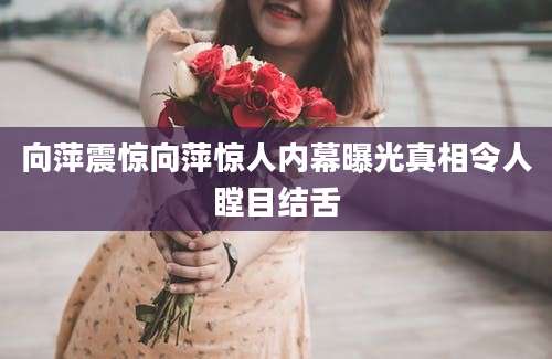 向萍震惊向萍惊人内幕曝光真相令人瞠目结舌