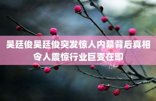 吴廷俊吴廷俊突发惊人内幕背后真相令人震惊行业巨变在即