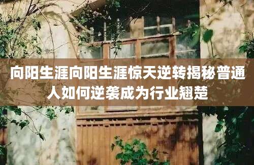向阳生涯向阳生涯惊天逆转揭秘普通人如何逆袭成为行业翘楚