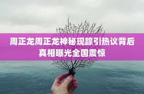 周正龙周正龙神秘现踪引热议背后真相曝光全国震惊