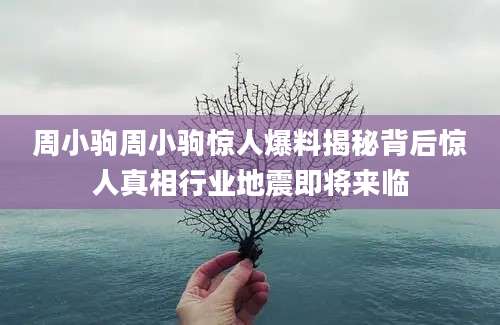 周小驹周小驹惊人爆料揭秘背后惊人真相行业地震即将来临
