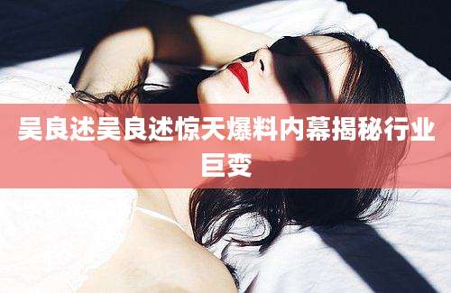 吴良述吴良述惊天爆料内幕揭秘行业巨变