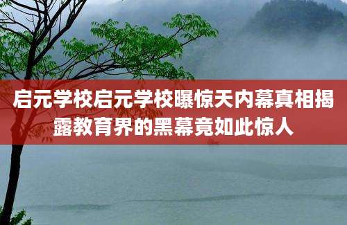 启元学校启元学校曝惊天内幕真相揭露教育界的黑幕竟如此惊人