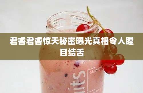 君睿君睿惊天秘密曝光真相令人瞠目结舌