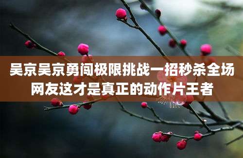 吴京吴京勇闯极限挑战一招秒杀全场网友这才是真正的动作片王者