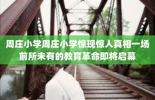 周庄小学周庄小学惊现惊人真相一场前所未有的教育革命即将启幕