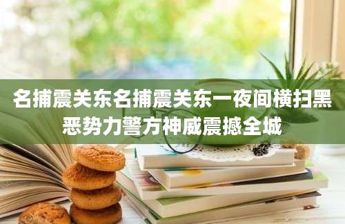 名捕震关东名捕震关东一夜间横扫黑恶势力警方神威震撼全城
