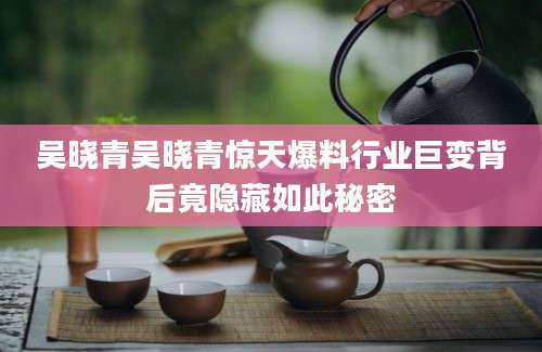 吴晓青吴晓青惊天爆料行业巨变背后竟隐藏如此秘密