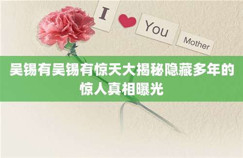 吴锡有吴锡有惊天大揭秘隐藏多年的惊人真相曝光