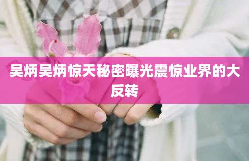 吴炳吴炳惊天秘密曝光震惊业界的大反转