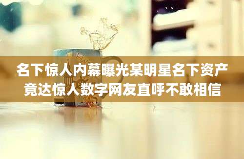 名下惊人内幕曝光某明星名下资产竟达惊人数字网友直呼不敢相信