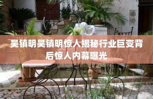 吴镇明吴镇明惊人揭秘行业巨变背后惊人内幕曝光